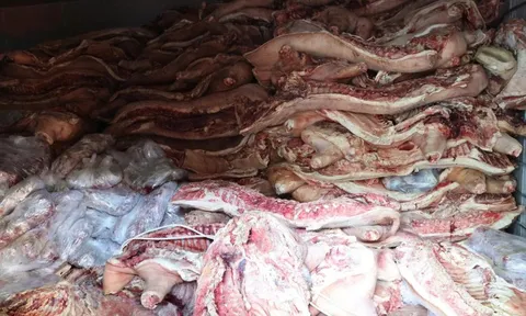Triệt phá 5 kho lạnh chứa 37,4 tấn thịt lợn chết, nhiễm bệnh: Bác sĩ cảnh báo loạt nguy cơ độc hại