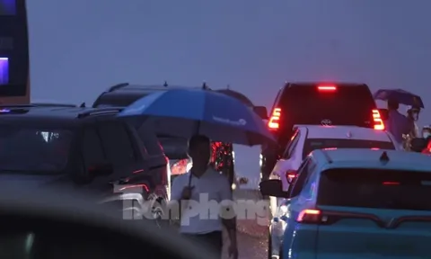 Hàng nghìn người đội mưa, ôtô nối đuôi tới lễ cưới Hoa hậu Đỗ Thị Hà và doanh nhân Viết Vương