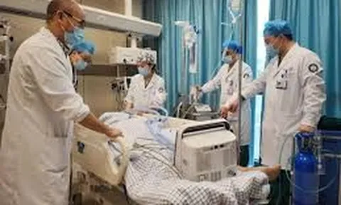 6 người bị “hỏng thận” nặng sau khi ăn 1 loại "rau trường thọ”: Bác sĩ khuyên chớ nên chủ quan kẻo rước bệnh vào người