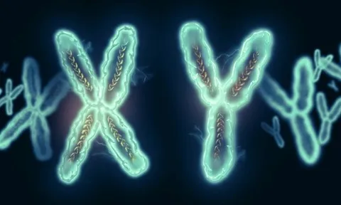 Mang hình hài nữ suốt 21 năm, xét nghiệm bỗng phát hiện là đàn ông khiến cả gia đình sững sờ