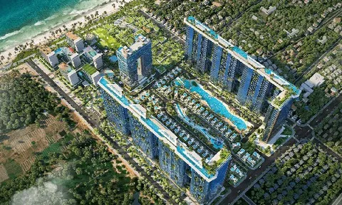 Tăng trưởng đột biến: Một doanh nghiệp bất động sản trên HoSE báo lãi quý III/2025 tăng 40 lần, tiền mặt gấp 28 lần đầu năm