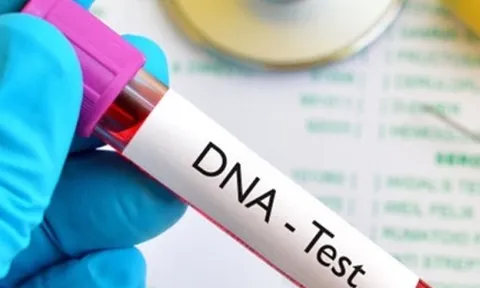 Chuyển hộ khẩu lộ bí mật động trời: Đứa trẻ nuôi 20 năm không phải con đẻ