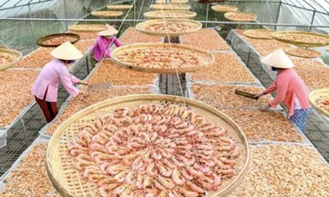 Doanh nghiệp đem ‘rừng vàng, biển bạc’ đổ bộ Hội chợ Mùa Thu 2025