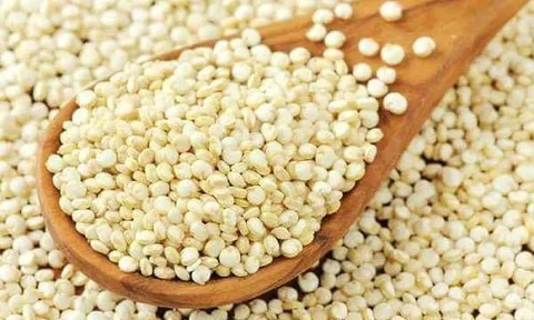 Bộ Y tế thu hồi dược liệu Ý dĩ không đạt tiêu chuẩn chất lượng