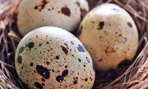 Khuyên thật: Đi chợ mua trứng nhớ 5 bí quyết này, trứng ngon, để được lâu