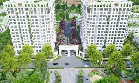 CEO Group muốn vay gần 1.287 tỷ đồng phục vụ dự án Khu đô thị mới CEO Mê Linh