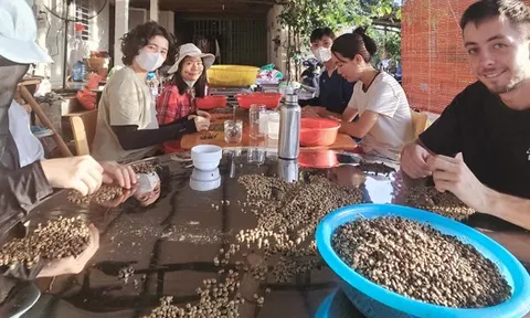 Doanh nghiệp xuất khẩu vướng hoàn thuế GTGT