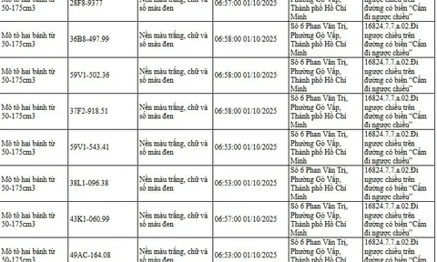 294 chủ xe đi ngược chiều, đi trên vỉa hè có biển số sau nhanh chóng nộp phạt nguội theo Nghị định 168