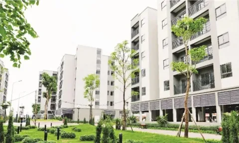 Từ chính sách an sinh đến tầm nhìn đô thị nhân văn
