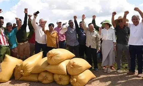Một kỳ tích "made by Vietnam" xuất hiện, Cuba đặt mục tiêu lớn trong năm 2026