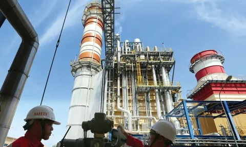 Hàng loạt công ty điện báo lãi lớn