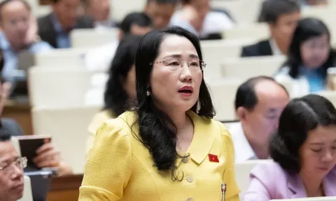 ĐBQH kiến nghị xây dựng bộ SGK tái sử dụng được nhiều năm, tránh lãng phí