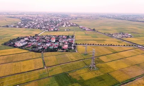 Hoàn thành thay thế cách điện đường dây 220kV mạch kép Thái Bình – Tiền Hải – Trực Ninh