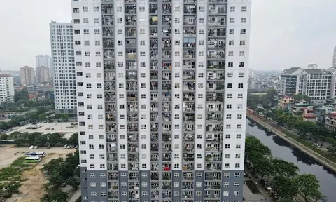 Phát triển nhà cho thuê: Yêu cầu cấp bách nhưng thiếu giải pháp đủ mạnh