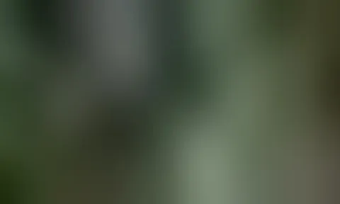 Tháo dỡ cầu sắt Long Kiểng sau nửa thế kỷ tồn tại