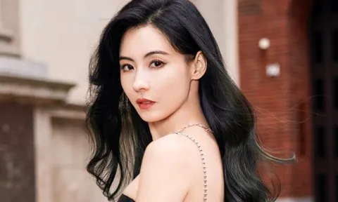 Vạch mặt người “chống lưng” cho Trương Bá Chi