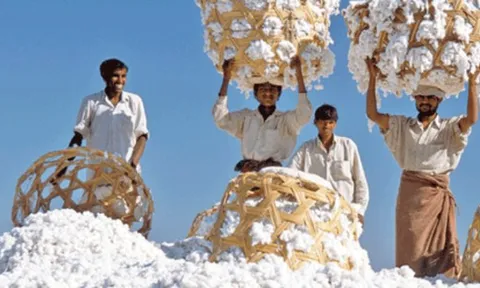 'Khách ruột' Mỹ chi hơn 13 tỷ USD chốt đơn mặt hàng này của Việt Nam, 66 quốc gia khác đua nhau săn mua