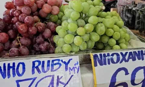 Trái cây nhập ngoại giá rẻ bày bán tràn lan