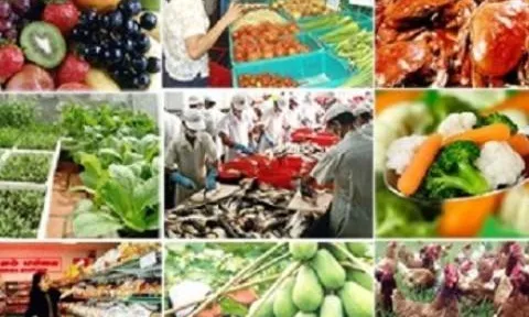 Đề xuất tăng mức xử phạt vi phạm về an toàn thực phẩm