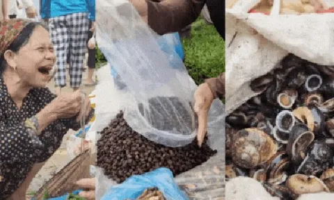 Nông sản độc lạ ở chợ phiên vùng cao: Không chỉ có măng khô, cua đá, đuông cọ... mà còn có cả "vàng đen" Tây Bắc