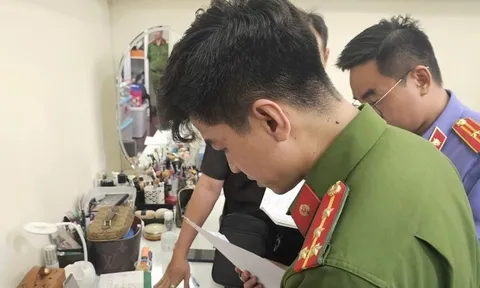 Vụ diễn viên Trương Ngọc Ánh bị bắt: Vì sao giao dịch bất động sản đã diễn ra gần 20 năm vẫn bị xử lý hình sự?