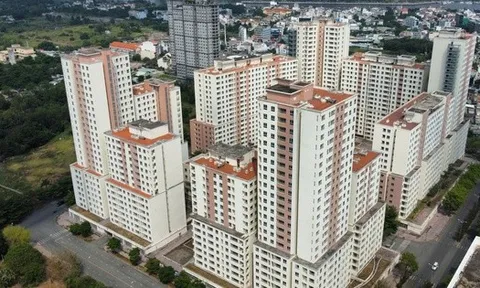 Phải xử lý mạnh hơn nữa với những người trúng đấu giá đất rồi bỏ cọc