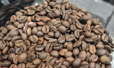 Giá cà phê hôm nay 4-11: Tăng vọt