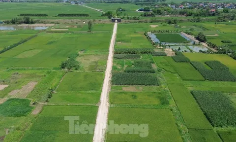 Lo khó giải phóng mặt bằng vì giá đất nông nghiệp dự kiến cao nhất 290.000 đồng/m2