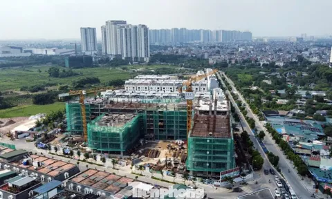 Giá chung cư Hà Nội ngưỡng 100 triệu đồng/m2