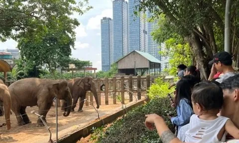 Thảo Cầm Viên Sài Gòn bỏ túi 450 triệu đồng/ngày