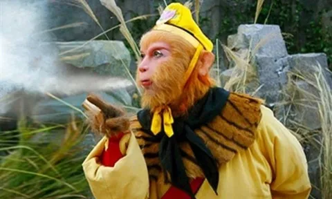 Vì sao Tôn Ngộ Không chọn 72 phép Địa sát thay vì 36 phép Thiên cang?