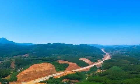 Gần 200 mũi thi công, hơn 1.600 công nhân và 1.400 máy móc đẩy nhanh tiến độ, quyết hoàn thành cao tốc 105km theo chỉ đạo của Thủ tướng