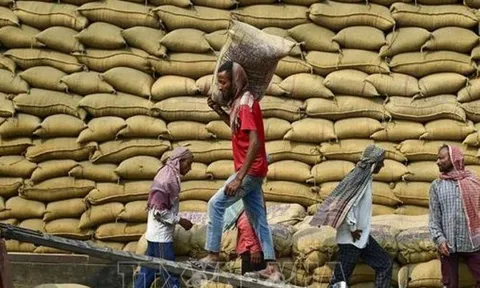 Cầu yếu, cung tăng gây sức ép lên giá gạo xuất khẩu của các nước châu Á