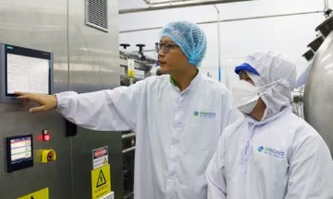 Đại gia đầu tư triệu đô 'lên đời' thạch dừa, đưa món ăn dân dã tới 27 quốc gia