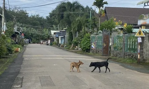 Nam thanh niên không uống được nước, không chịu được tiếng ồn và tử vong sau 20 ngày bị chó cắn