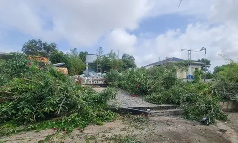 Đang cưỡng chế thu hồi hơn 66.000 m² đất lấn chiếm tại Đồi Cát Bay Mũi Né