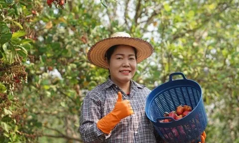 Việt Nam đã chi mức tiền kỷ lục để mua một "quốc bảo" của láng giềng