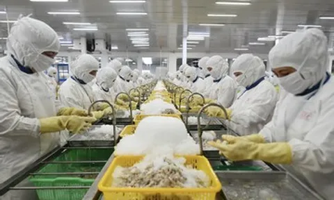 Thị trường vào 'mùa vàng', doanh nghiệp bội thu tỷ USD