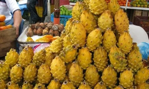 Việt Nam sở hữu 'siêu trái cây' khiến người Trung Quốc siêu mê: xuất khẩu số 1 thế giới, diện tích trồng hơn 55.000 ha