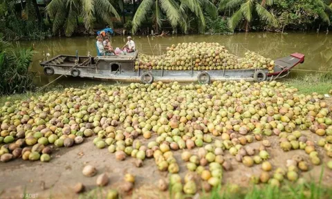 Đặc sản triệu đô của Việt Nam bất ngờ lao dốc cực mạnh: Vì sao nên nỗi?
