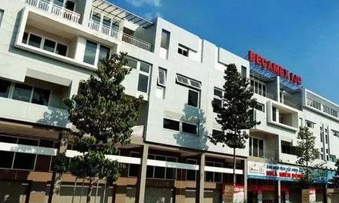 Becamex IJC hoàn tất chào bán hơn 251 triệu cổ phiếu cho 9.240 cổ đông