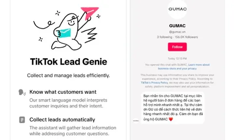 Chatbot AI trong tin nhắn của TikTok có tác dụng gì?