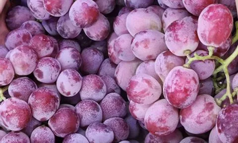 Nho Trung Quốc la liệt chợ Việt, giá rẻ hơn cả mớ rau