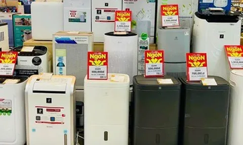 Từ 4 đến 20 triệu đồng, chọn máy hút ẩm nào phù hợp và tiết kiệm điện?