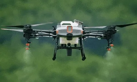 Một dự án 5 triệu USD của Liên hợp quốc có thể "thay đổi cuộc đời" của 21.000 người Việt Nam