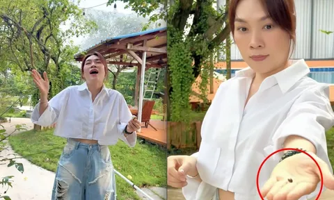 Mỹ Tâm khoe "tài sản khủng", có tiền chưa chắc mua được