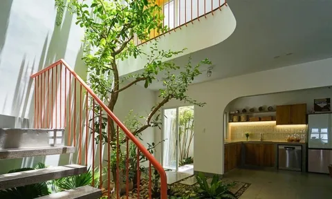 Nhà phố 2,5 tầng tràn ngập ánh sáng tự nhiên