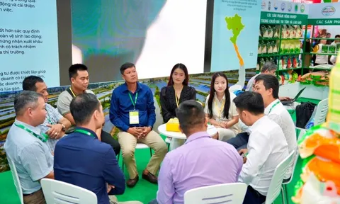 VCCI hỗ trợ doanh nghiệp và HTX trong chuỗi giá trị tôm và lúa gạo tăng cường liên kết, tiếp cận thị trường quốc tế