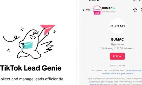 TikTok ra mắt Chatbot AI trong Tin nhắn trực tiếp
