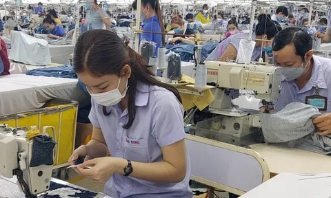 Chi nhánh doanh nghiệp ở nhiều vùng, áp dụng mức lương tối thiểu thế nào?